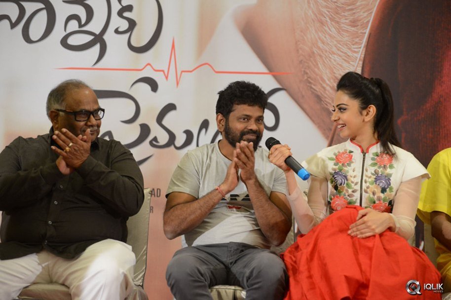 Nannaku-Prematho-Movie-Grand-Success-Meet